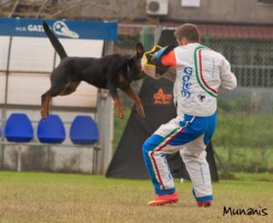 corso sport professional dog helper federazione italiana cinofilia