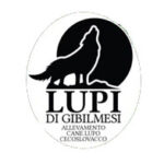 lupi logo