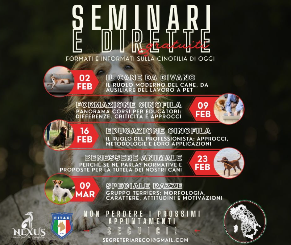seminari-gratuiti-fitac seminari-gratuiti-fitac