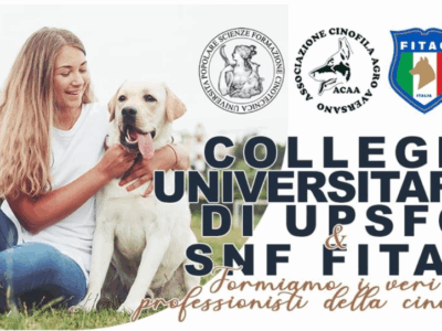 college universitario upsfc e snf fitac