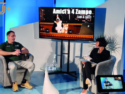 amici a 4 zampe julius fitac 2 amici a 4 zampe julius fitac 2